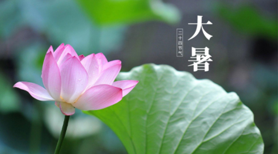 大暑時節(jié)！金環(huán)電器提醒大家注意這些干衣細(xì)節(jié)