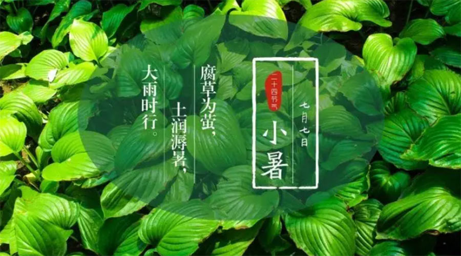 小暑時節來到！金環電器提醒大家要注意的事項