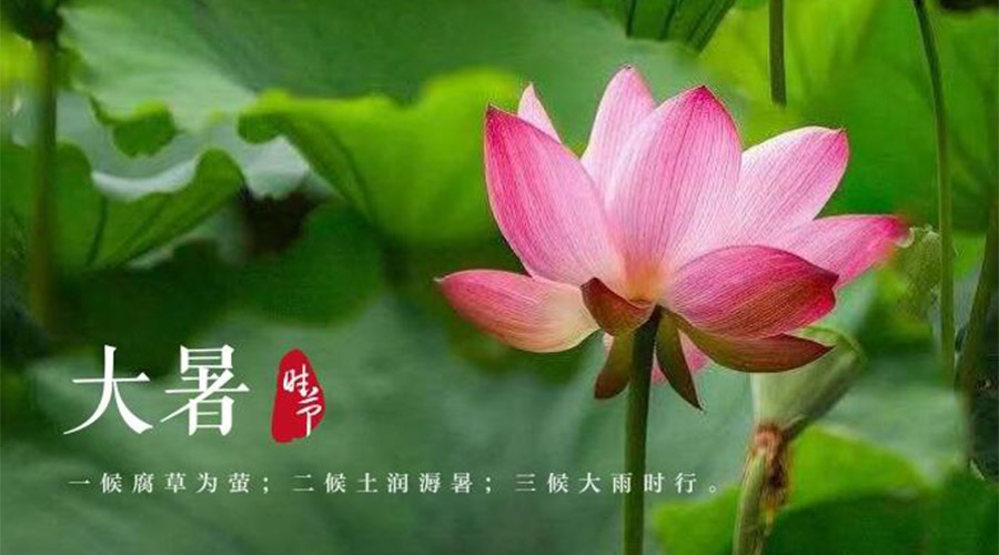大暑時(shí)節(jié)！金環(huán)電器提醒大家要注意的事項(xiàng)
