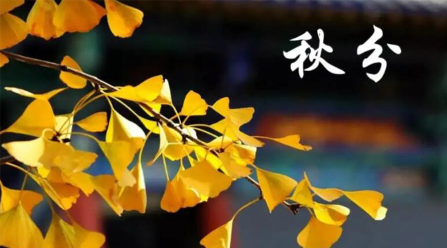 秋分時節！金環電器提醒大家要注意的事項