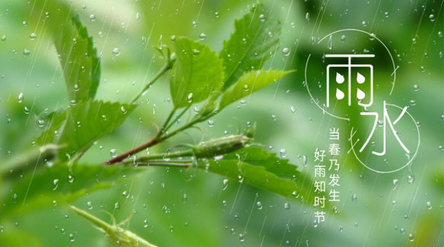 雨水時節！金環電器提醒大家要注意的事項